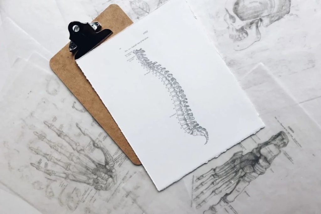 Acupuncture treatment for shoulder and neck pain in Lewes supporting comfort and movement.